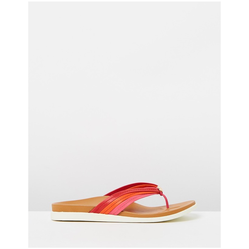 Catalina Toe Post Sandals Pink & Red by Vionic