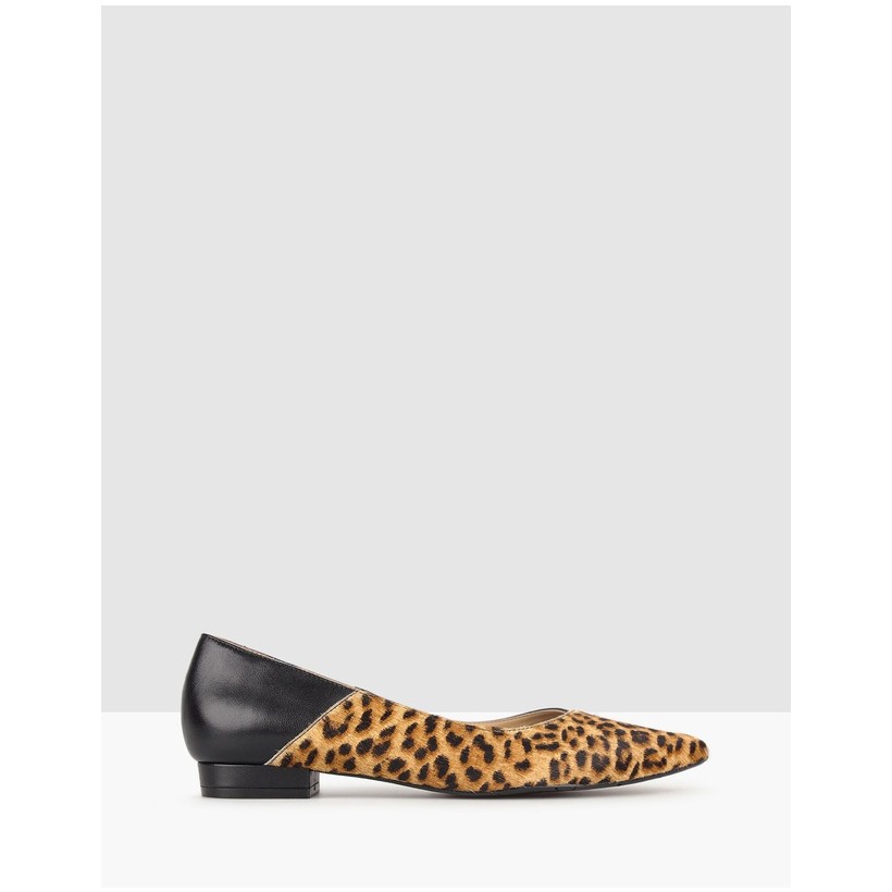 Riot Leather Pointed Pumps Leopard by Airflex