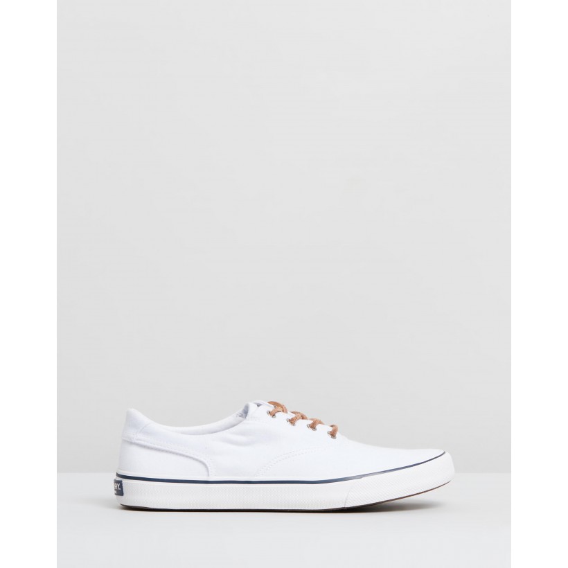 Striper II CVO Oxford Shirt Sneakers White by Sperry
