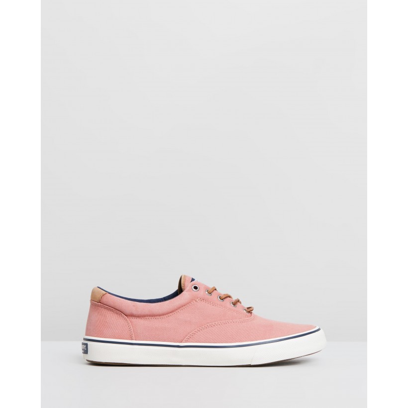 Striper II CVO Oxford Shirt Sneakers Nantucket Red by Sperry