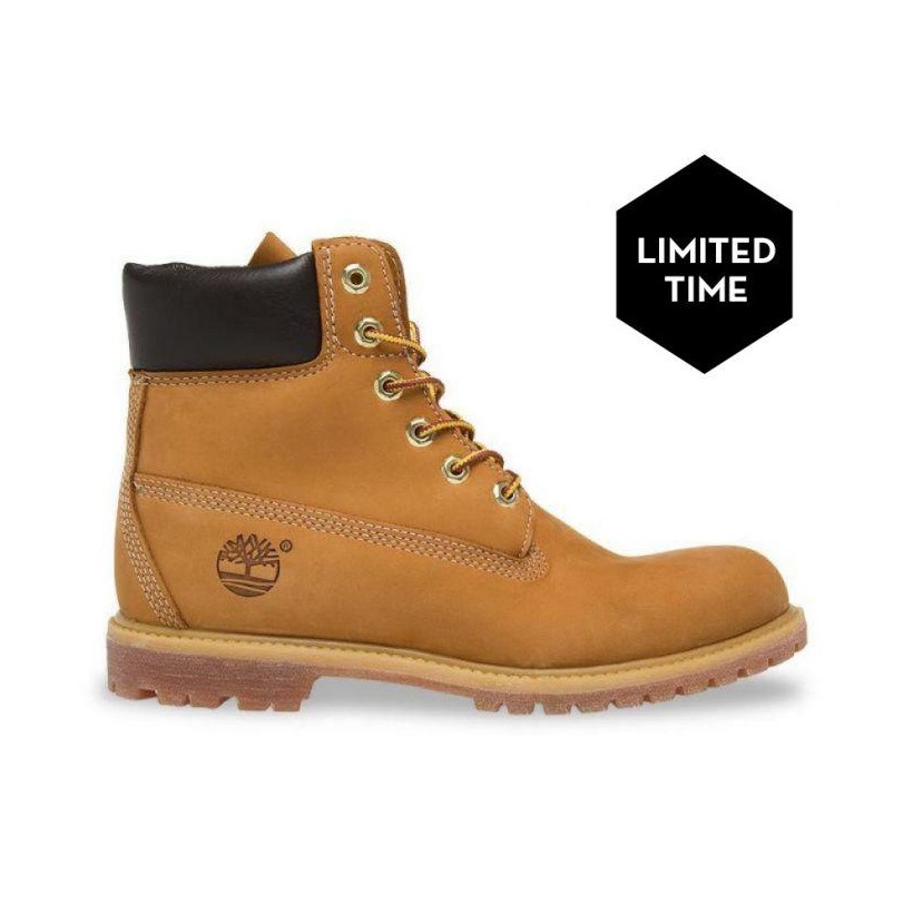 WHEAT WATERBUCK - WOMEN'S 6-INCH PREMIUM WATERPROOF BOOT 6 Inch Boots Shoes by Timberland
