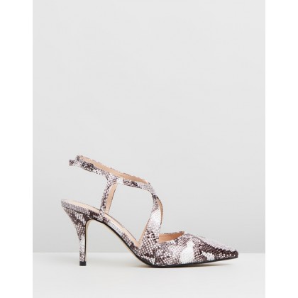 Enigma Cross Courts Snake by Dorothy Perkins