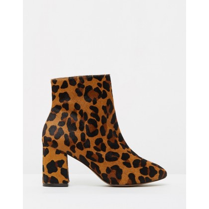 Grove Leopard by Matisse