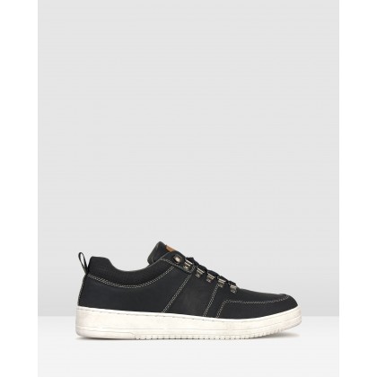 Zoom Low Top Lifestyle Sneakers Black by Betts