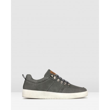 Zoom Low Top Lifestyle Sneakers Grey by Betts