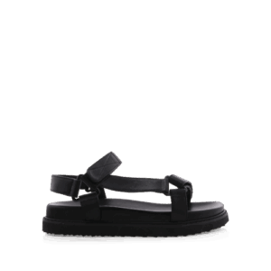 Zak - Black by Billini Shoes