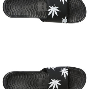 Plantlife Slide Black